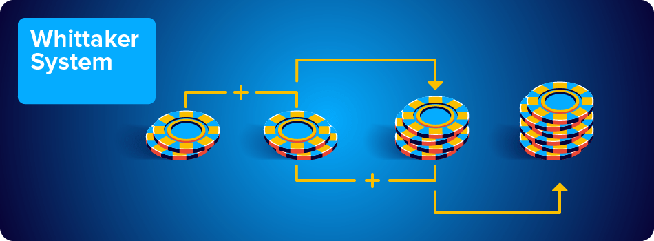 whittaker system